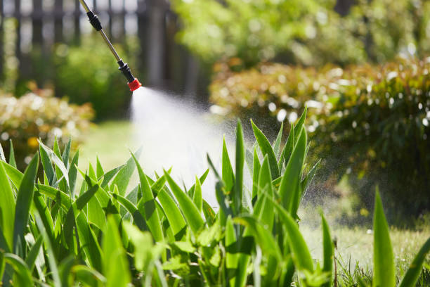 24/7 Emergency Wasp Removal experts in Garrett, TX