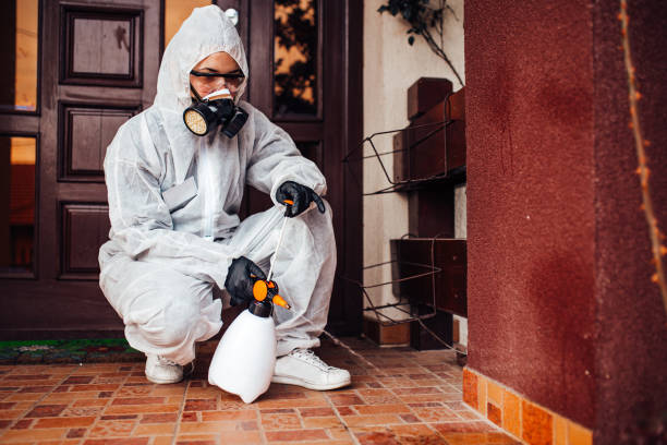 Reliable Wasp Removal contractor in Garrett, TX by Show Me Pest Control